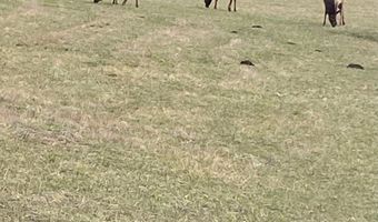 67640 NEVERSTILL Rd, Birkenfeld, OR 97016