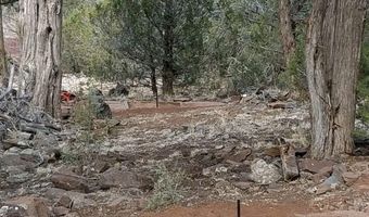 Terry Lane, Ash Fork, AZ 86046