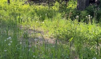 30625 N Pastime St, Athol, ID 83801