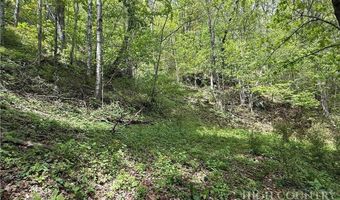 Spice Creek Road, Banner Elk, NC 28604