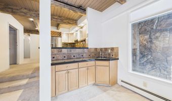 651 S Monarch St 104, Aspen, CO 81611