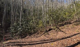 1834 Bristol Ave, Andrews, NC 28901