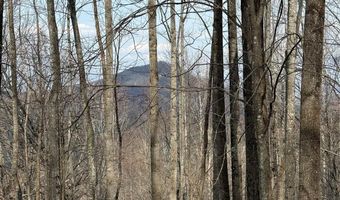 1029 Chippawa Dr 67, Arden, NC 28704