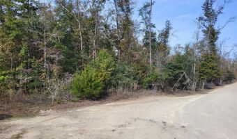 00 NW Tommy Tucker Rd Lot 1, Altha, FL 32421