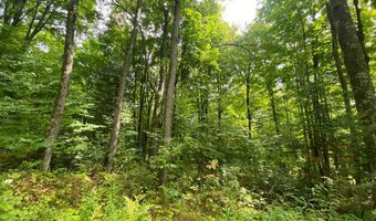 NEAR SCHMIDT LN, Argonne, WI 54511