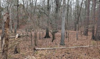 Lots B & C Miller Road, Camden, SC 29020