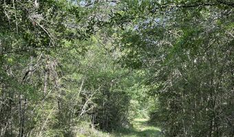 80 AC Old River Rd, Baker, FL 32531