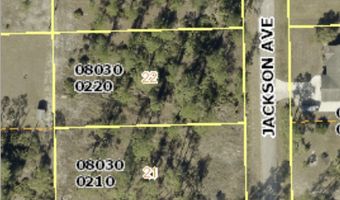 2219 Jackson Ave, Alva, FL 33920