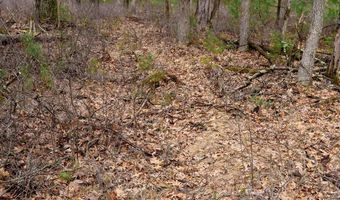 Dover Drive lot 1 14 Ac, Adams, WI 53910