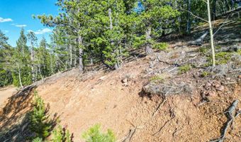272 Wise Rd, Bailey, CO 80421