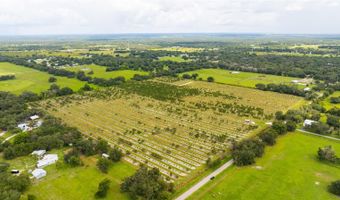 SW CARLTON Avenue, Arcadia, FL 34266
