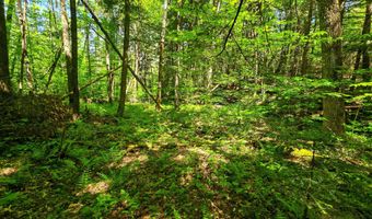 1905 Camp Munn Rd, Bradford, VT 05033
