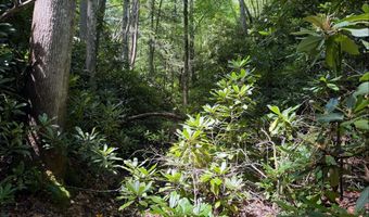 Tdb Cove Creek Rd, Bastian, VA 24314