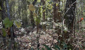 Berman St lot 11 1/2 & 12, Andalusia, AL 36421
