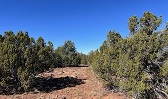 44 County Road 8114, Concho, AZ 85924