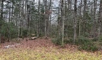 20 Monument Rd, Abbot, ME 04406