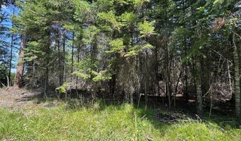 13643 Sundance Trl, Bigfork, MT 59911