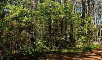 FOLLY CREEK CLUB LN lot 19, Accomac, VA 23301