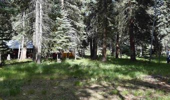 Vallecito Pl, Bayfield, CO 81122