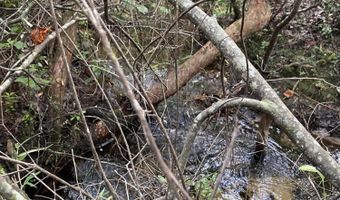 Putnam Avenue lot 30, Alford, FL 32420