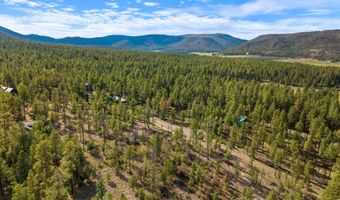CR 2193, Alpine, AZ 85920