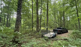 9999 Countryside Est, Barnardsville, NC 28709