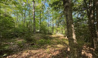 Peaked Hill Road, Bristol, NH 03222