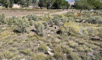 411 N Hwy 93, Challis, ID 83226