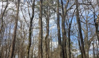 U.S. Highway 51, Bogue Chitto, MS 39629