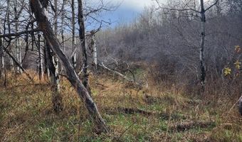 N 4600 E, Ashton, ID 83420