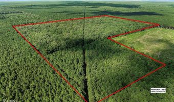 356 Cottage Grove Rd, Benton, LA 71006