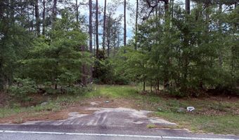 5827 Reynolds Rd, Blackville, SC 29817