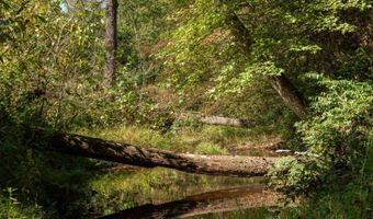 501 Caldwell Rd, Blacksburg, SC 29702