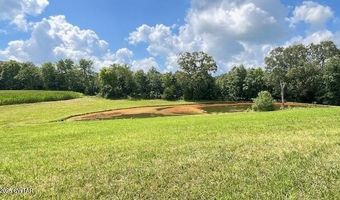 3945 Old Trezevant Rd, Atwood, TN 38220