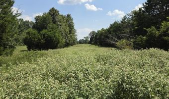 00 Honeysuckle Rd, Bald Knob, AR 72010