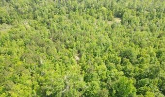 NW CR 274, Altha, FL 32421