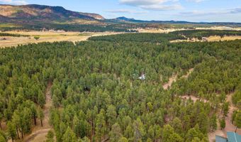 19 Hillcrest Dr, Alpine, AZ 85920