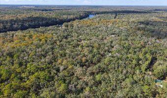 7639 6th St, Bell, FL 32619