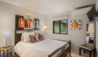 650 S Monarch St 9, Aspen, CO 81611