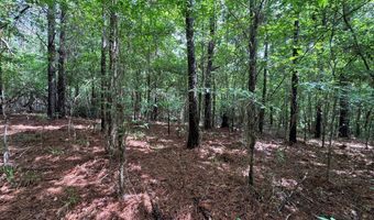 HWY 9, Banner, MS 38913