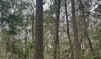 Wilburn Taylor Road, Buckatunna, MS 39322