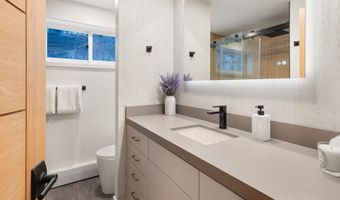 75 Bennett Ct, Aspen, CO 81611