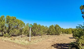 128 132 Co Rd 8061 2.53 Acres, Concho, AZ 85924