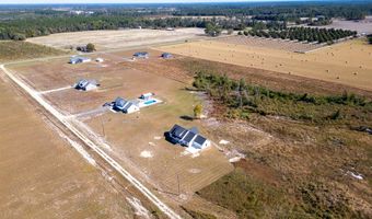 4419 Altamaha School Rd, Baxley, GA 31513