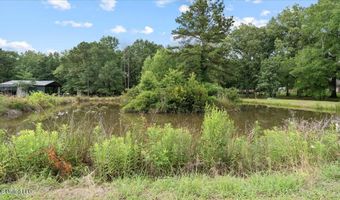 161 Goshen Springs Ln, Brandon, MS 39047