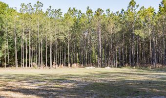 NW 41st Cir, Bell, FL 32619