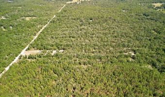 55 Th St, Bell, FL 32619