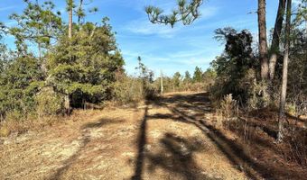 3015 Castillo Dr, Alford, FL 32420