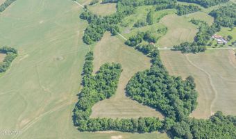 Cane Creek Road, Bells, TN 38006