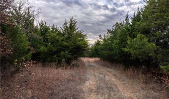 Tract 3 Acme RD, Asher, OK 74826